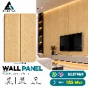WPC Wall Panel 2900 x 210 x 9mm 1294